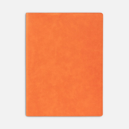 Ежедневник в суперобложке Brave Book, недатированный