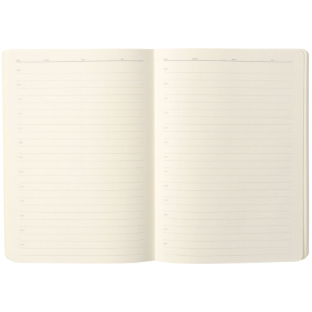 Ежедневник Eco Write