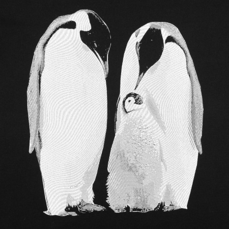 Футболка женская Like a Penguin, черная, размер S