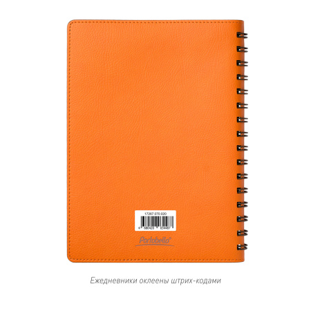 Ежедневник Виста (Vista) недатированный, оранжевый/коричневый