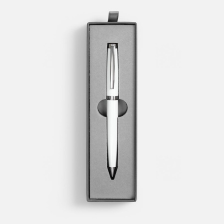 Ручка шариковая Letra Chrome в футляре
