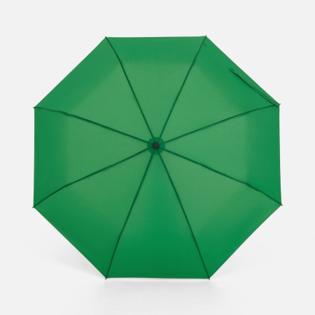 Зонт складной Monsoon